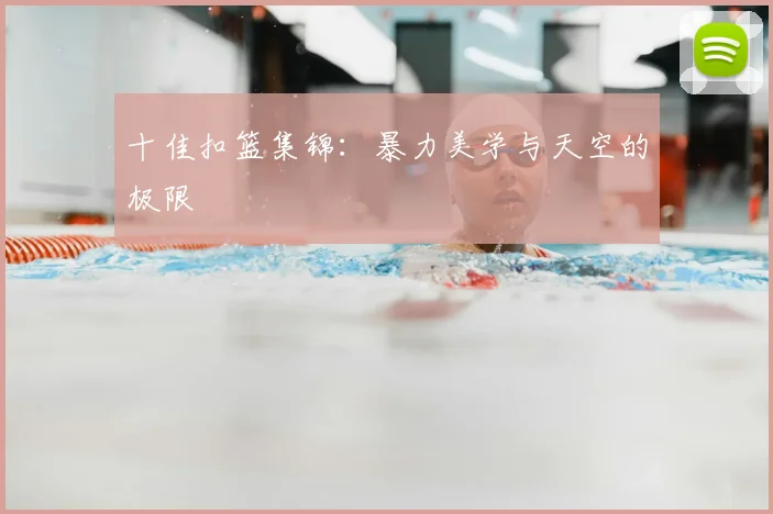 十佳扣篮集锦:暴力美学与天空的极限