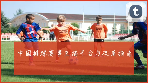 中国排球赛事直播平台与观看指南